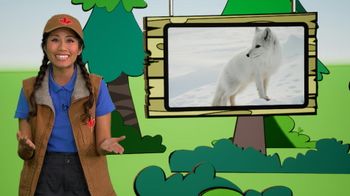 Savais-tu que... Les animaux canadiens