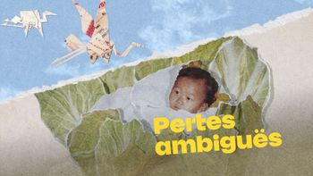 Pertes ambiguës