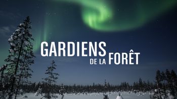 Gardiens de la forêt