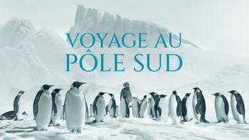 Voyage au pôle Sud