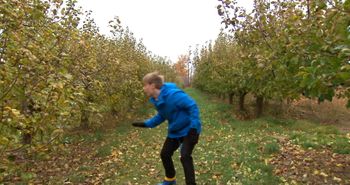 Univers : Les plaisirs d'automne : La cachette