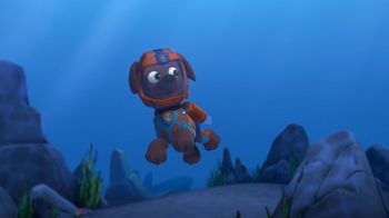 La Pat' Patrouille des Mers sauve une baleine