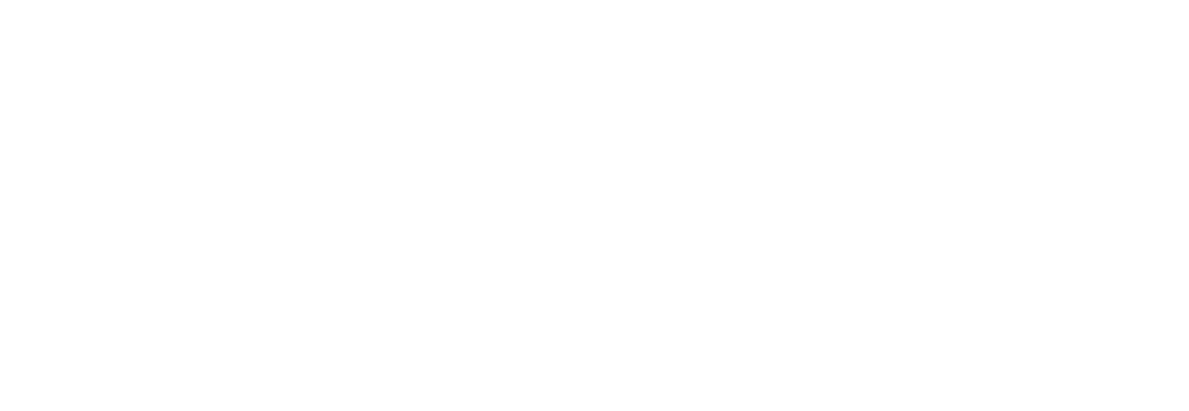 Gangnam Project, l'aventure K-pop