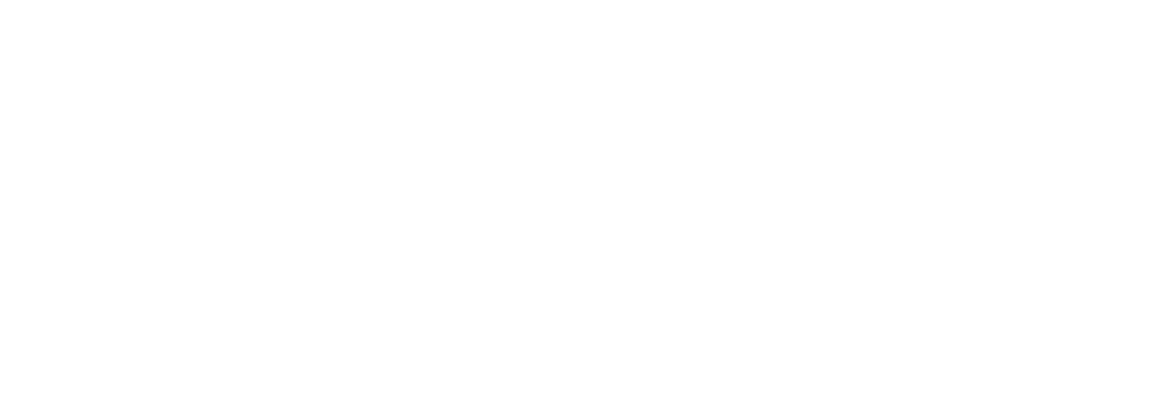 ASHKAL, l'enquête de Tunis