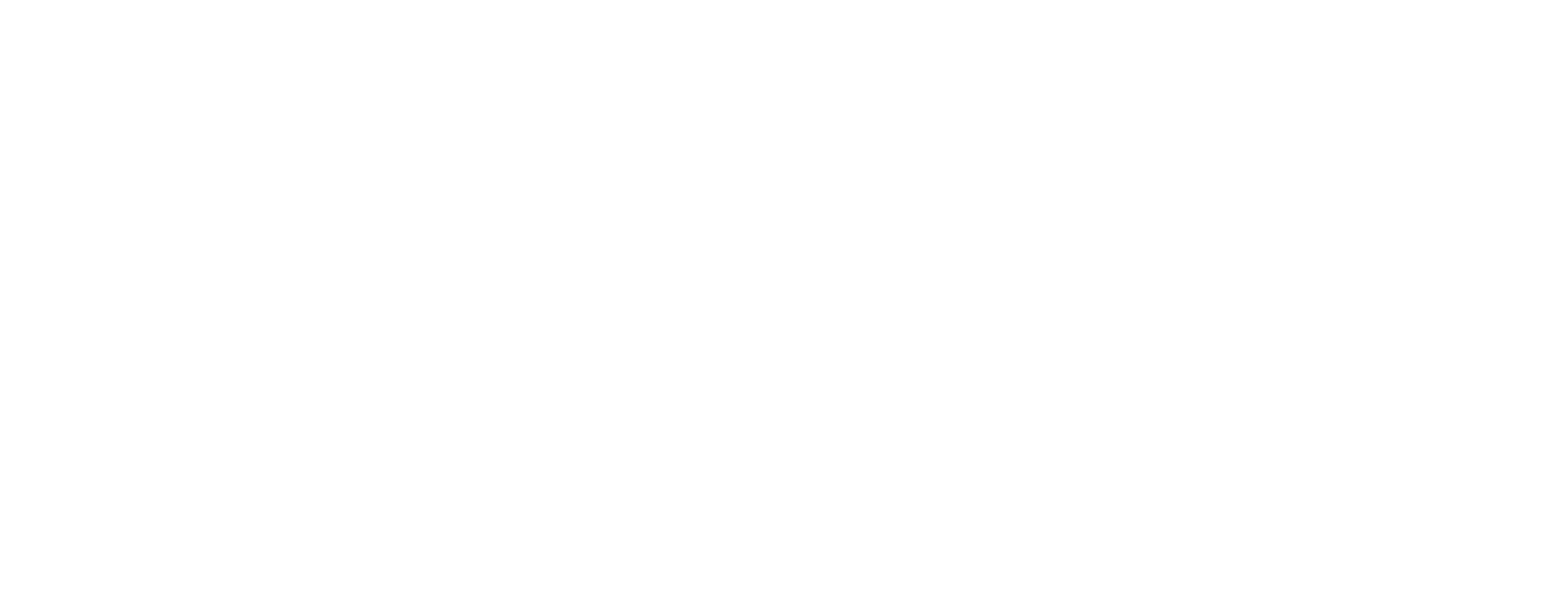 La théorie du tigre