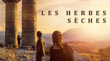 Les herbes sèches