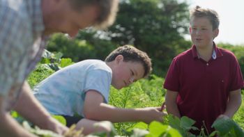 KAPSUR NICOLAS à Terre-Neuve-et-Labrador
