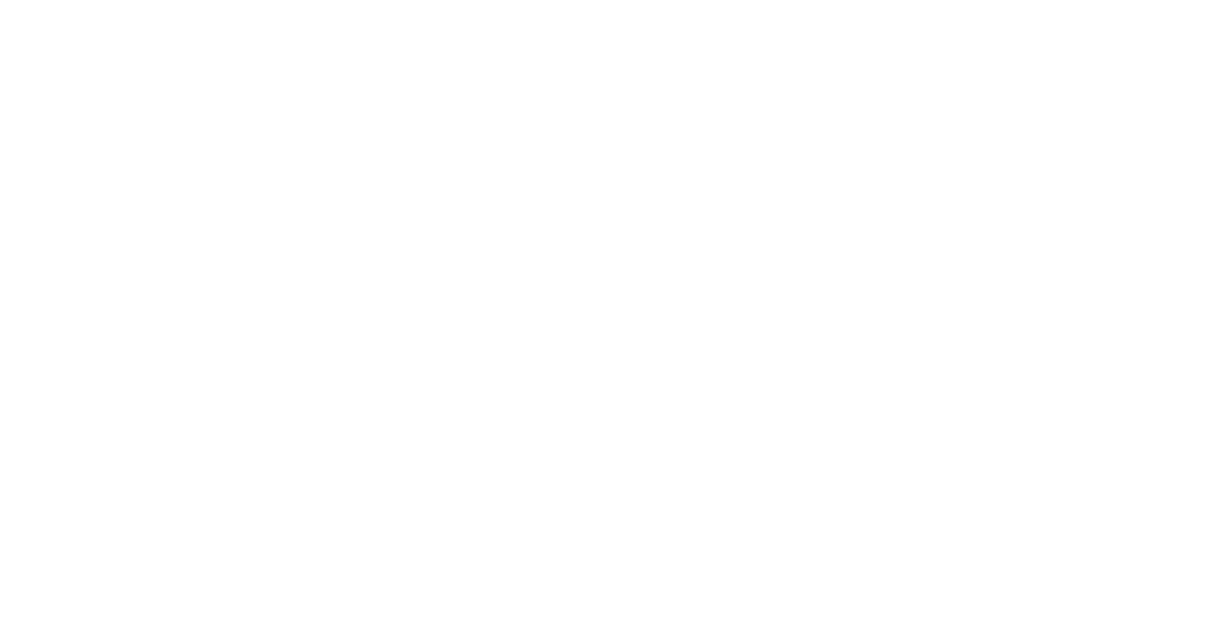 Max & Maestro