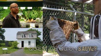 Qu'est-ce qu'on sauve?