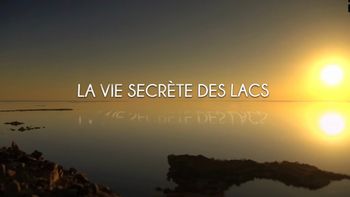 La vie secrète des lacs