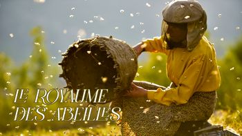 Le royaume des abeilles